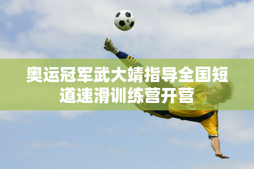 这一进球不