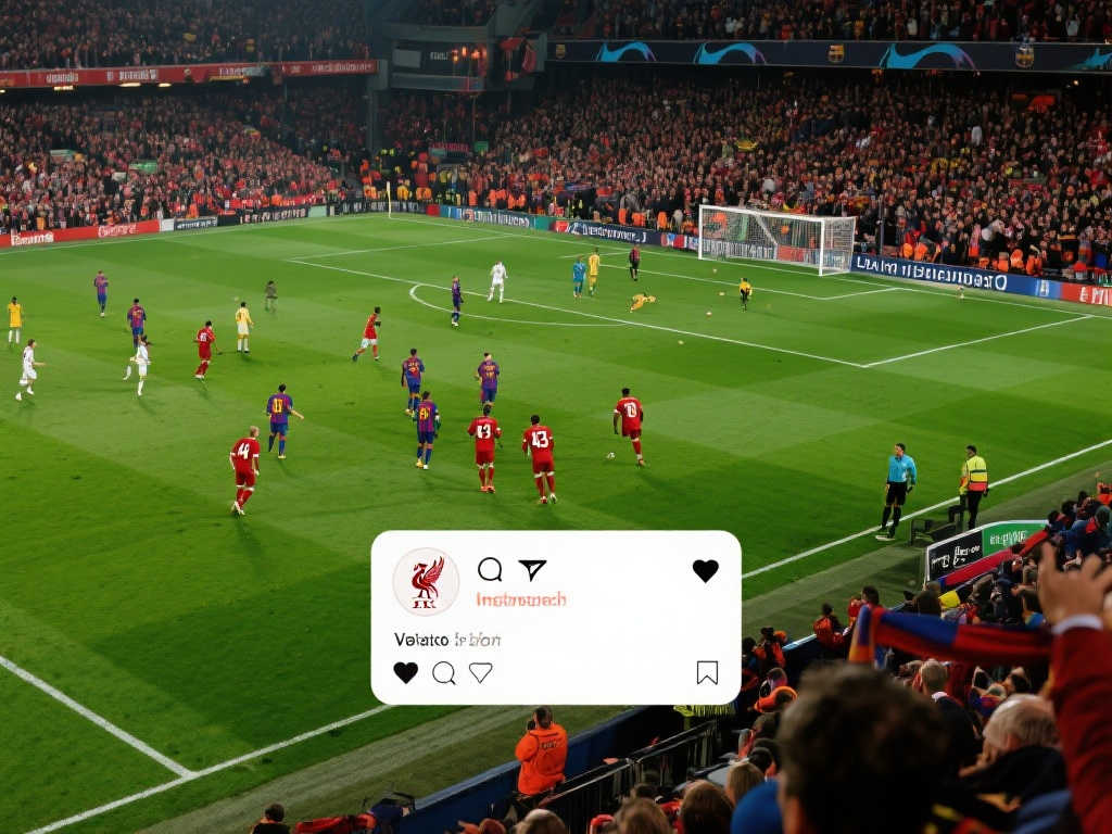 域的应用层 域的应用层