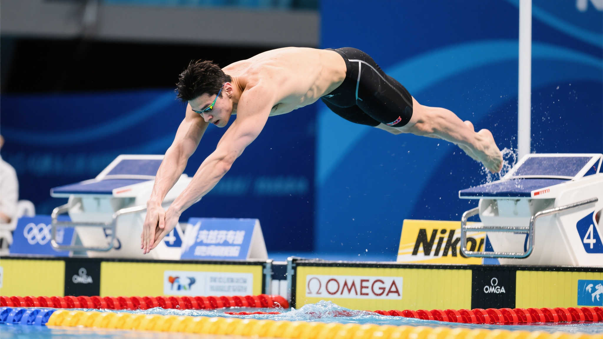 赛所展示的 赛所展示的